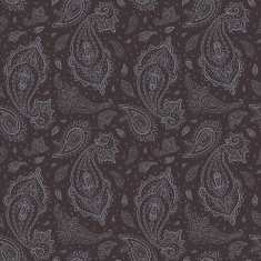 Seamless Paisley background N47