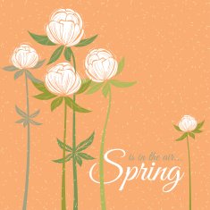Spring wildflowers