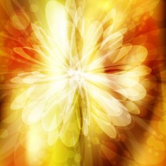 Abstract flower N7