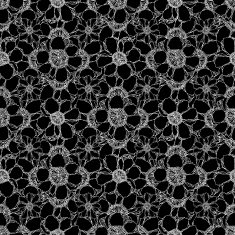 Lace seamless pattern with decorative flowers