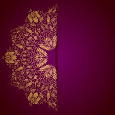 Elegant background with lace ornament N11