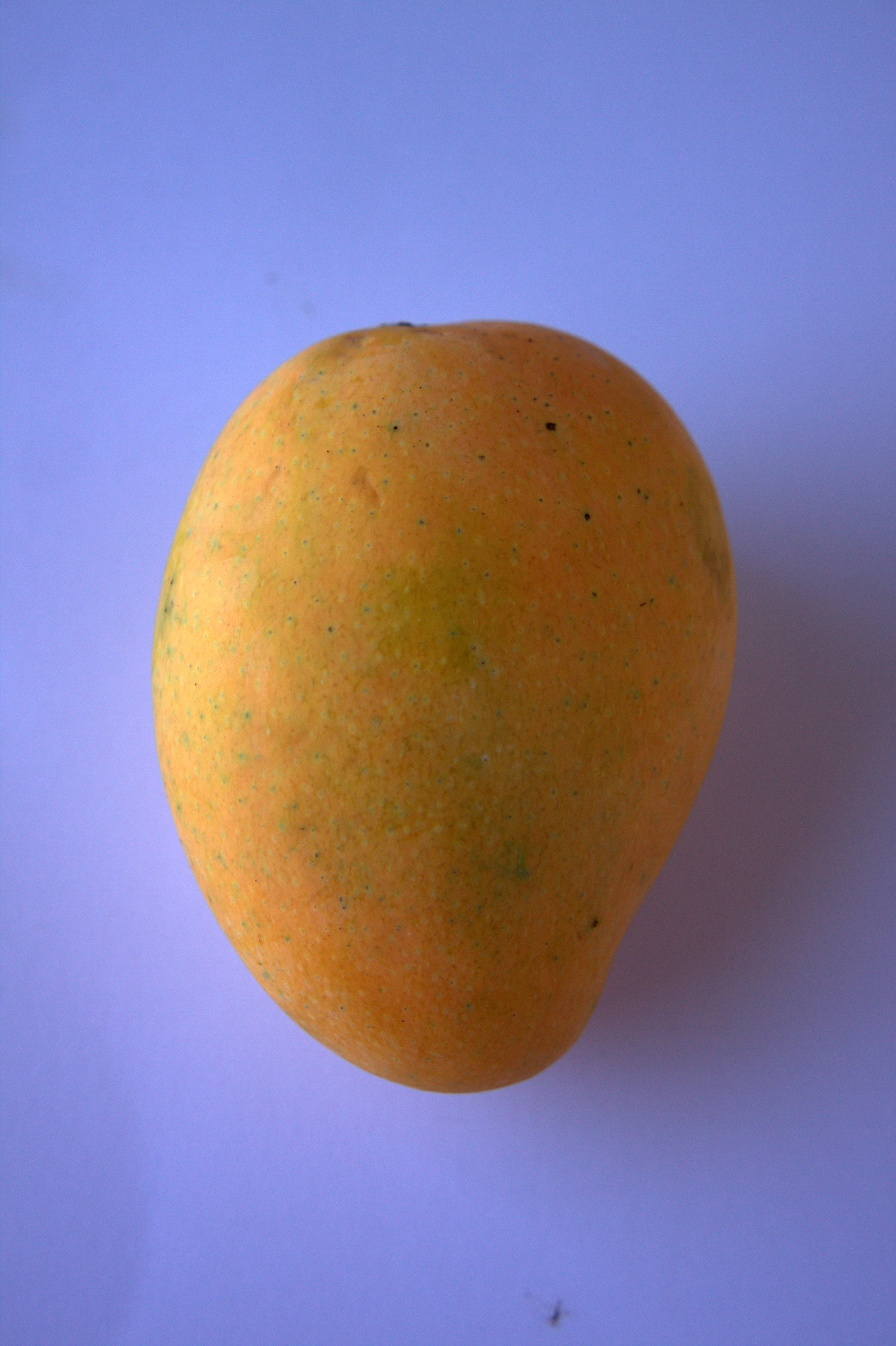 Resolution: 3178x4770, File size: 2.6Mb, sweet <b>mango</b> fruit picture with tag...