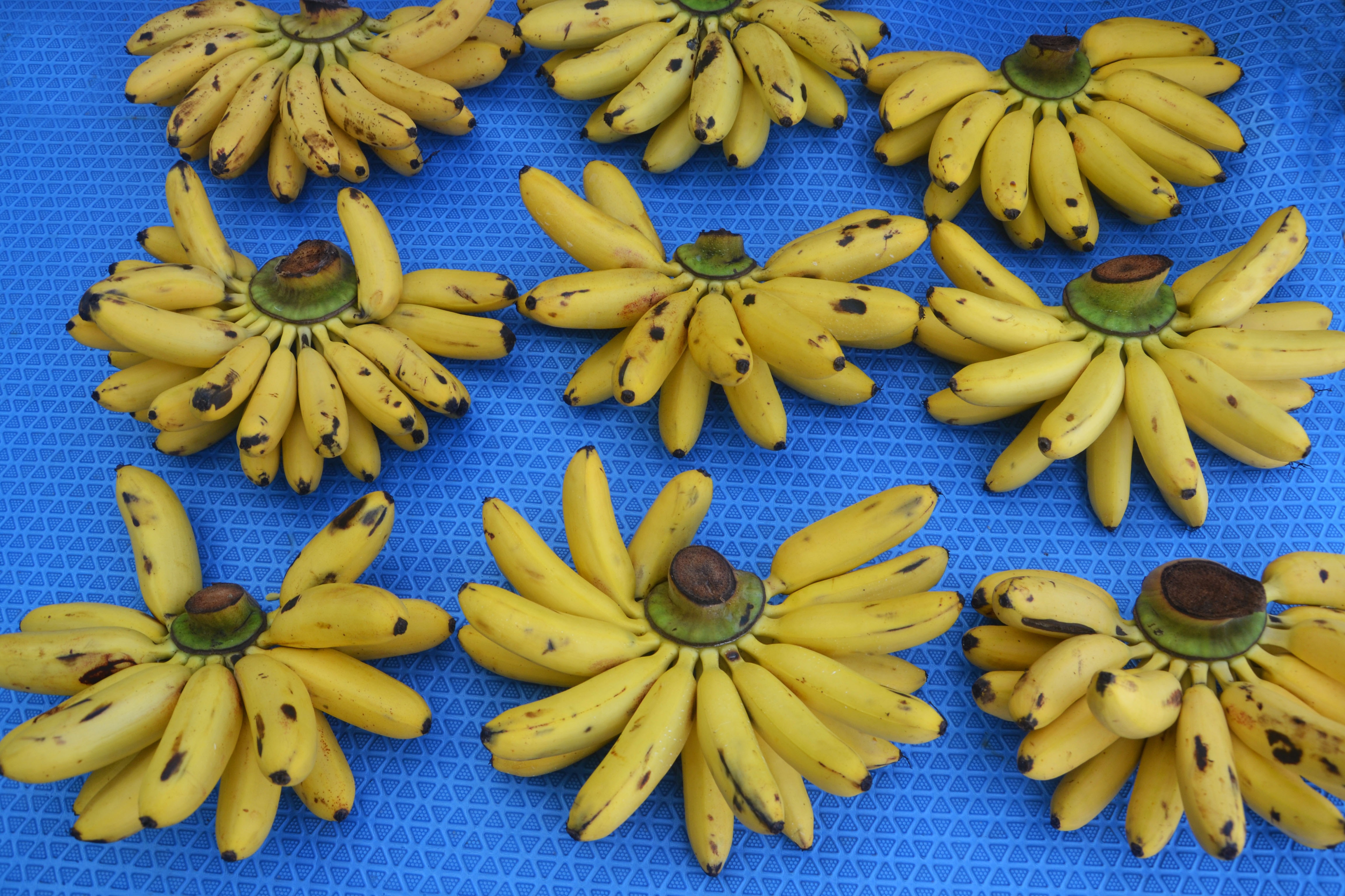 Красиво нарезать бананы на стол пошаговое фото