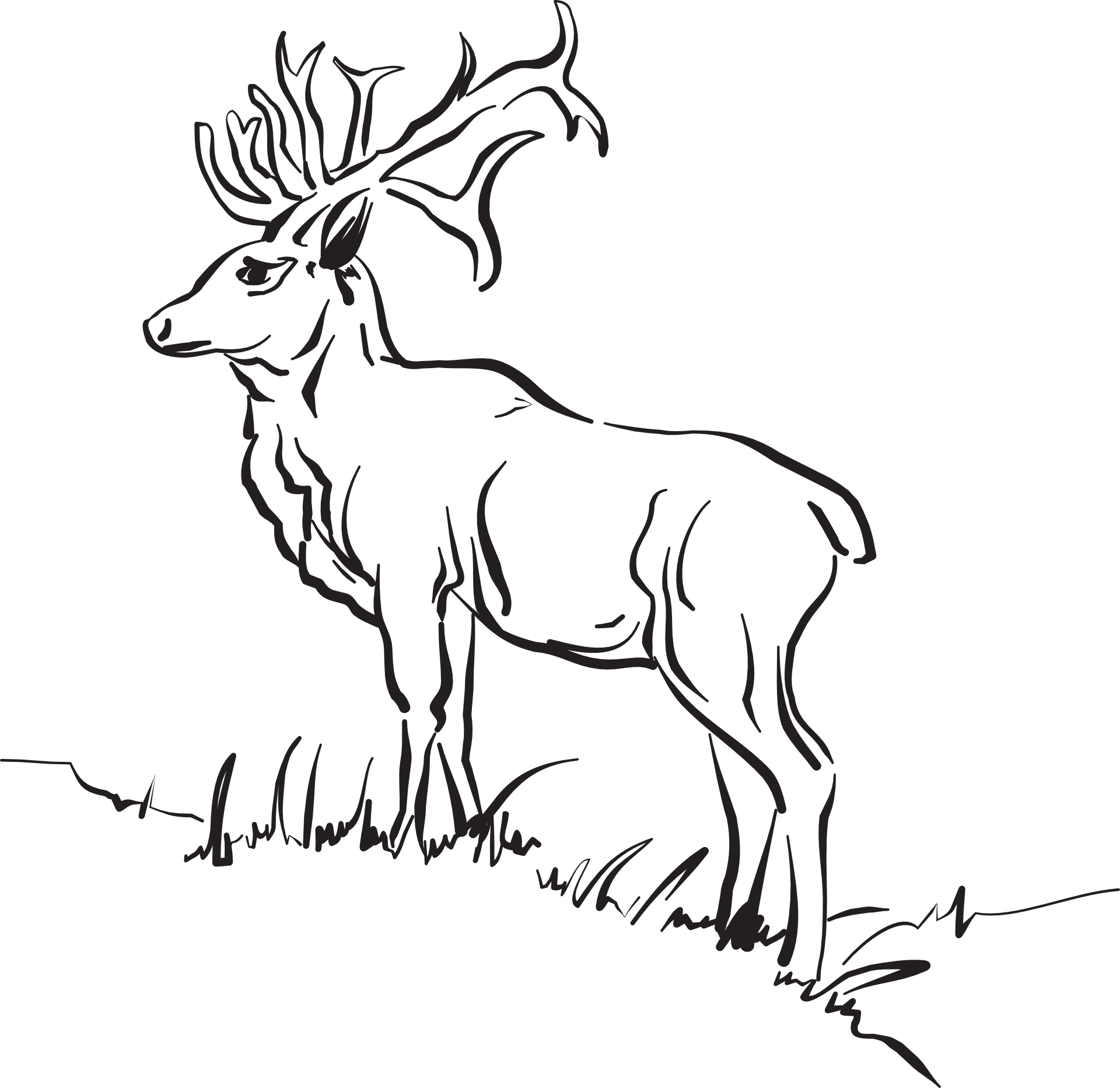 Beautiful deer drawing free image download