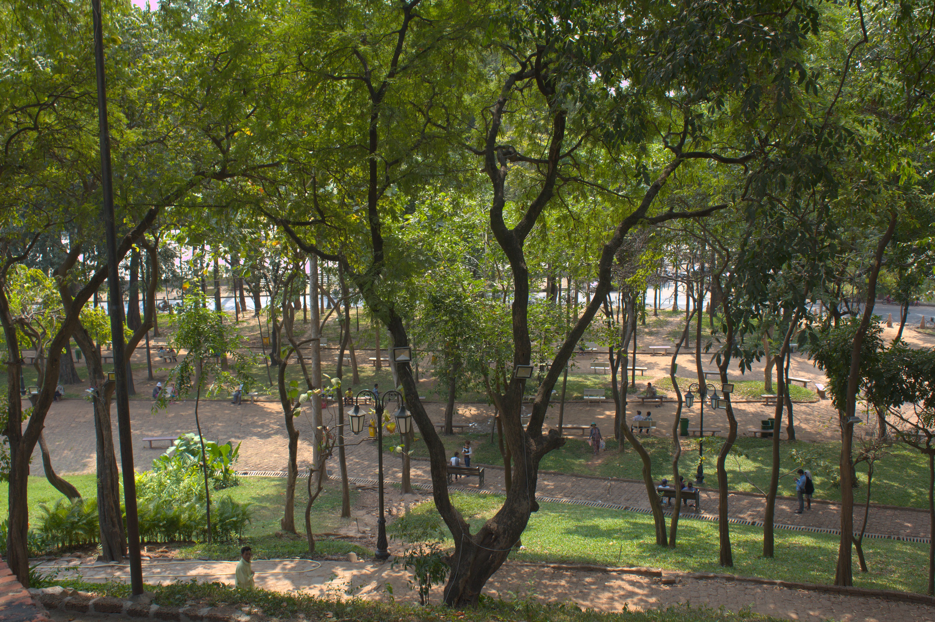 Сад воздух. Peaceful Park Figure Bushes.