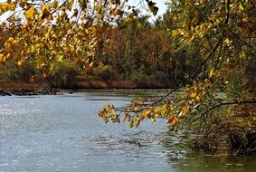 Landscape of the Inland Lake in autumn colors