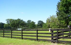 Fence in the countryside in Florida