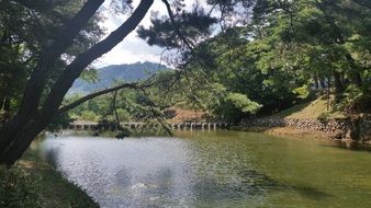 river in korea