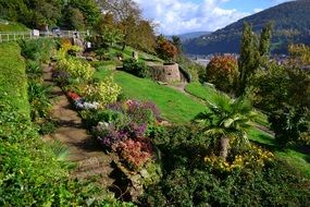 beautiful landscape design in the park