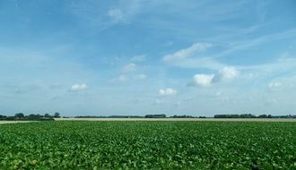 denmark field