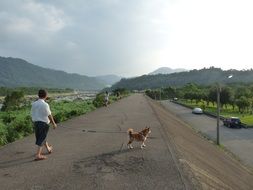 walk with the dog on the road in Taiwan