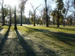 morning autumn park in the frost