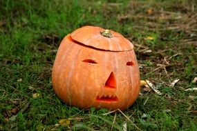 Beautiful carved pumpkin on Halloween lies on a colorful forest carpet