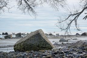 rocky coast of the ocean