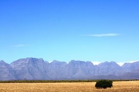 Field near a rock formation in south africa