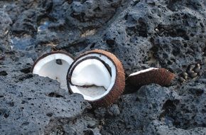 coconut fruit on a black beach