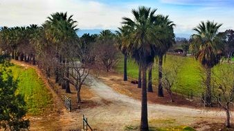 Landscape with the beautiful green trees and fields in California