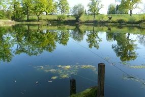 reflection of trees in the pond