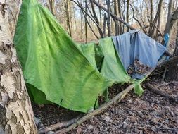 old tents in a forest