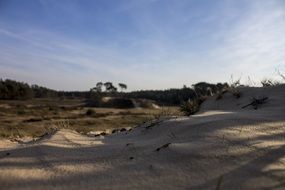 sand view in Netherlands