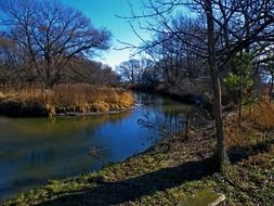 River in autumn Forest tree landscape