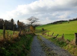 road near the fence and trees