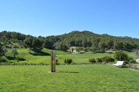 Green summer field farm landscape