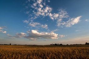 clouds over golden rural field