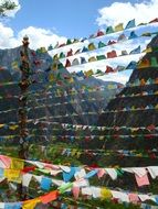 Flags in Nepal