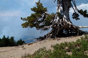 wonderful oregon usa