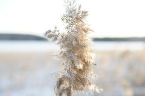 landscape photo winter hay macro photo