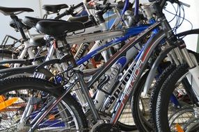 many mountain bikes