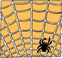 spider orange black drawing