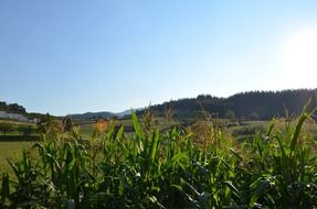 scenic rural landscape on a sunny day