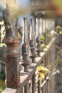 Stainless fence in garden