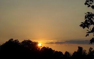 photo of sunset over trees in a park