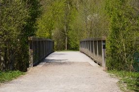 Forest bridge in green trees