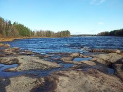 picturesque forest river in finland