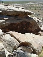 rock in petrified forest national park, usa, Arizona