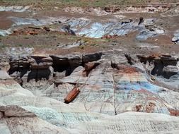 petrified forest national park stony wood