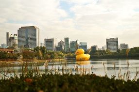 big rubber duck on the river