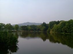 landscape near a lake with green trees at dusk