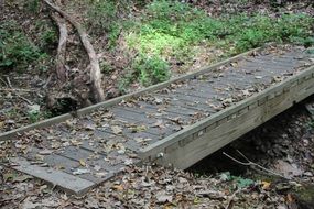 pedestrian wooden bridge in the park