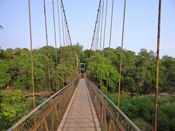 Beautiful hanging footbridge among the green trees in Karnataka, India