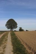 photo of an outgoing road along a rural field