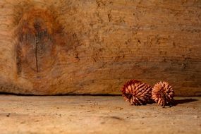 Cones on wooden board