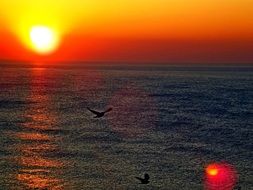 scenic ocean sunrise