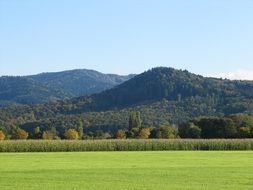 beginning of autumn in Denzlingen