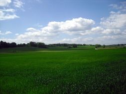 bewitching landscape meadow