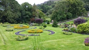colorful garden flowers for relaxation